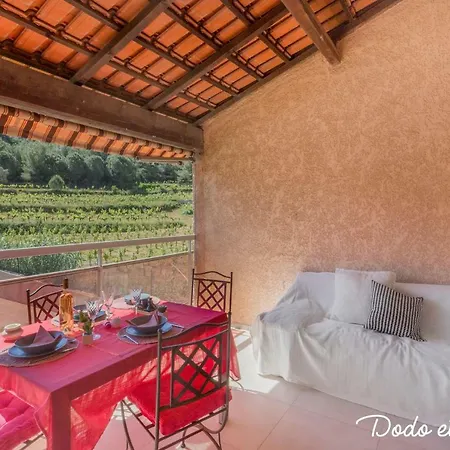 Apartment Splendid Flat With Terrace And Swimming Pool - Dodo Et Tartine *